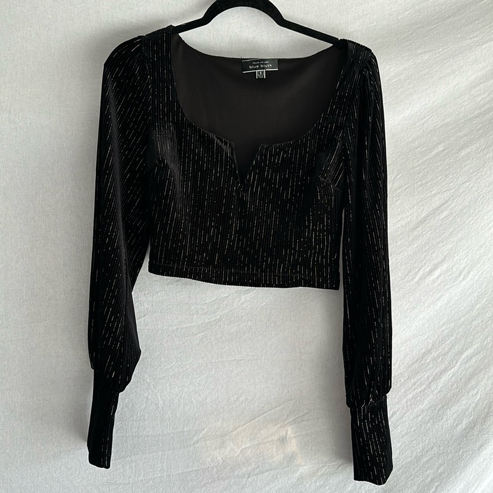 Blue blush SM Crop top